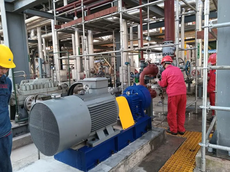 EHIK pitot tube pump installed at the PetroChina Anyue purification plant